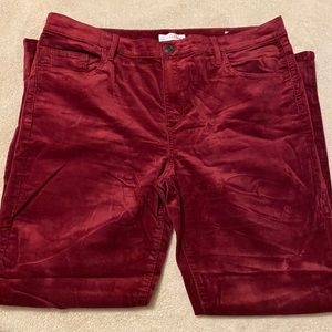 Loft velvet type regular length pants